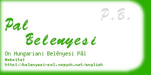 pal belenyesi business card