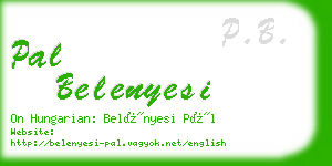 pal belenyesi business card